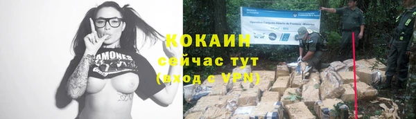 гашик Абинск