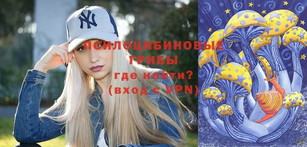 гашик Абинск