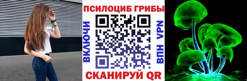 Галлюциногенные грибы Psilocybine cubensis  Ржев 